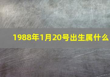 1988年1月20号出生属什么