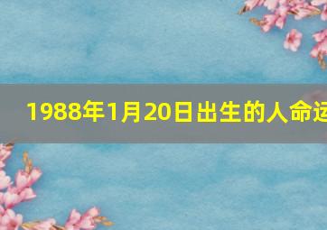 1988年1月20日出生的人命运