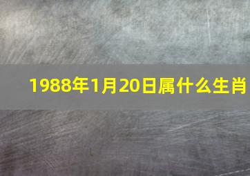 1988年1月20日属什么生肖