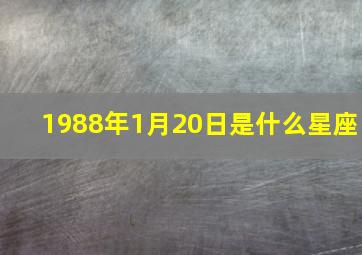 1988年1月20日是什么星座