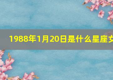 1988年1月20日是什么星座女