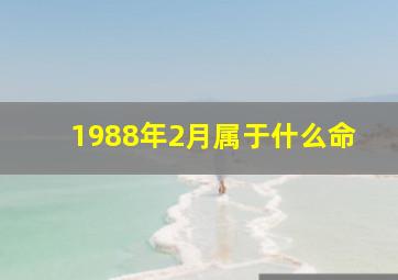 1988年2月属于什么命