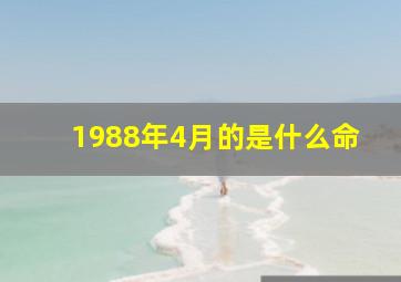 1988年4月的是什么命