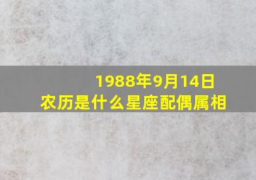 1988年9月14日农历是什么星座配偶属相