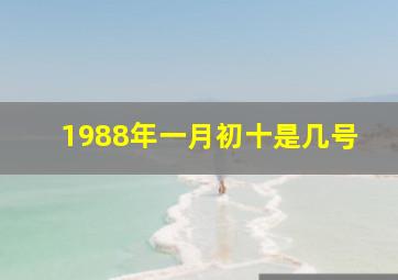 1988年一月初十是几号