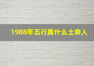 1988年五行属什么土命人