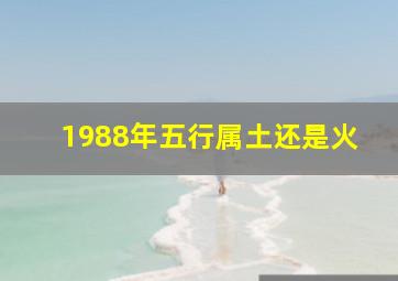 1988年五行属土还是火