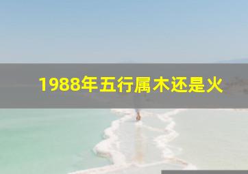 1988年五行属木还是火