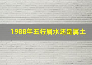 1988年五行属水还是属土