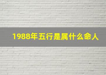 1988年五行是属什么命人