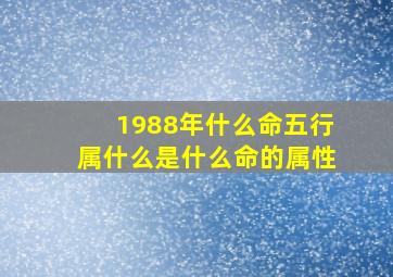 1988年什么命五行属什么是什么命的属性