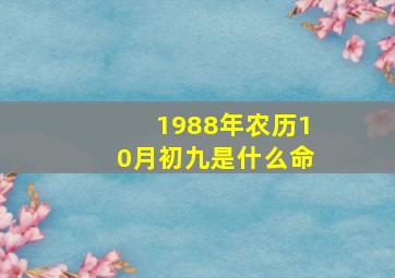 1988年农历10月初九是什么命