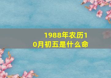 1988年农历10月初五是什么命