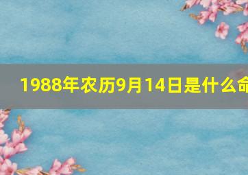 1988年农历9月14日是什么命