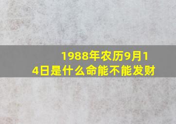 1988年农历9月14日是什么命能不能发财