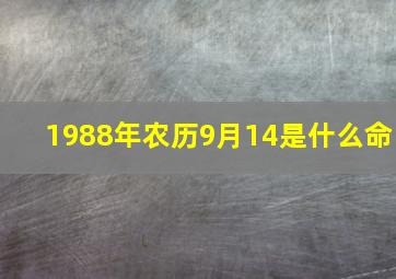 1988年农历9月14是什么命