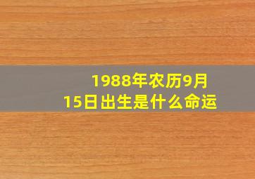 1988年农历9月15日出生是什么命运