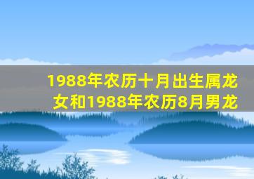 1988年农历十月出生属龙女和1988年农历8月男龙