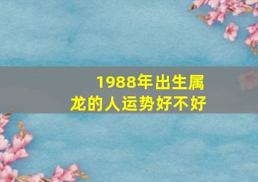 1988年出生属龙的人运势好不好