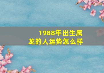 1988年出生属龙的人运势怎么样