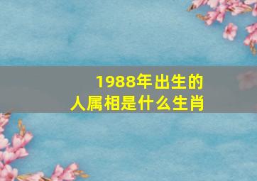 1988年出生的人属相是什么生肖