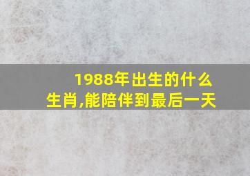 1988年出生的什么生肖,能陪伴到最后一天