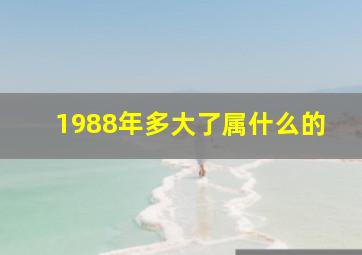 1988年多大了属什么的