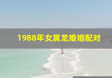 1988年女属龙婚姻配对