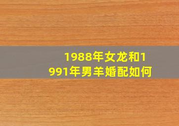 1988年女龙和1991年男羊婚配如何