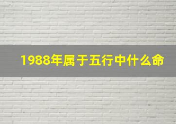 1988年属于五行中什么命