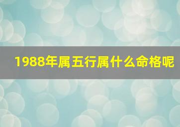 1988年属五行属什么命格呢