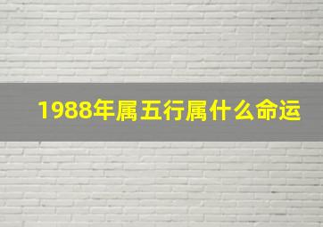 1988年属五行属什么命运