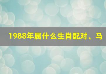 1988年属什么生肖配对、马