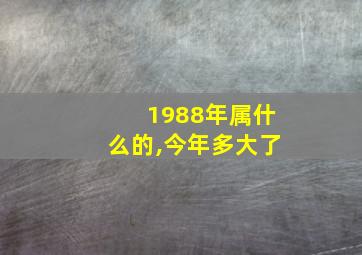 1988年属什么的,今年多大了