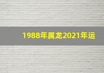 1988年属龙2021年运