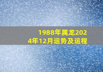 1988年属龙2024年12月运势及运程