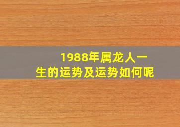 1988年属龙人一生的运势及运势如何呢