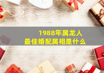 1988年属龙人最佳婚配属相是什么