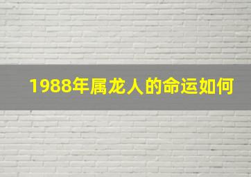 1988年属龙人的命运如何