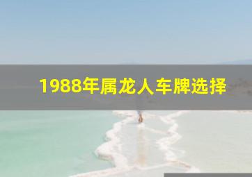 1988年属龙人车牌选择