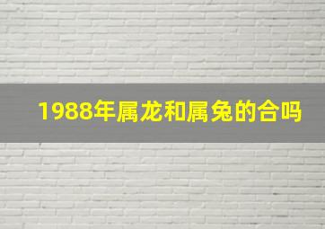 1988年属龙和属兔的合吗