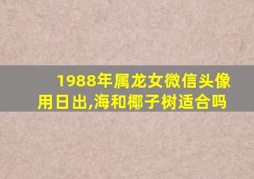 1988年属龙女微信头像用日出,海和椰子树适合吗