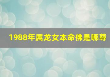 1988年属龙女本命佛是哪尊