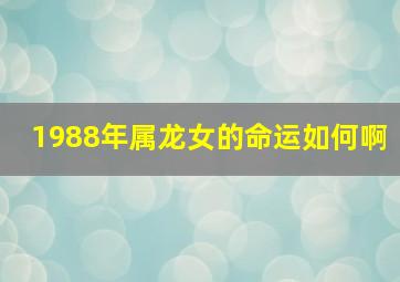 1988年属龙女的命运如何啊