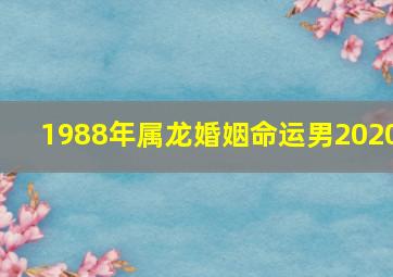 1988年属龙婚姻命运男2020