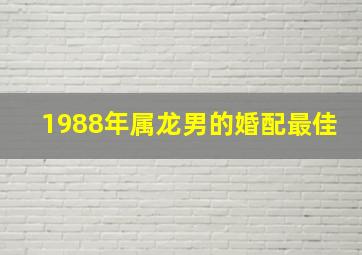 1988年属龙男的婚配最佳