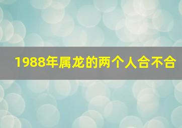 1988年属龙的两个人合不合