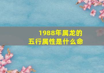 1988年属龙的五行属性是什么命