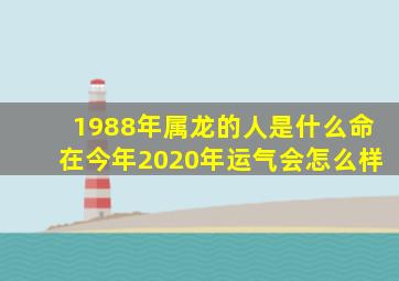 1988年属龙的人是什么命在今年2020年运气会怎么样