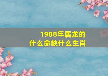 1988年属龙的什么命缺什么生肖